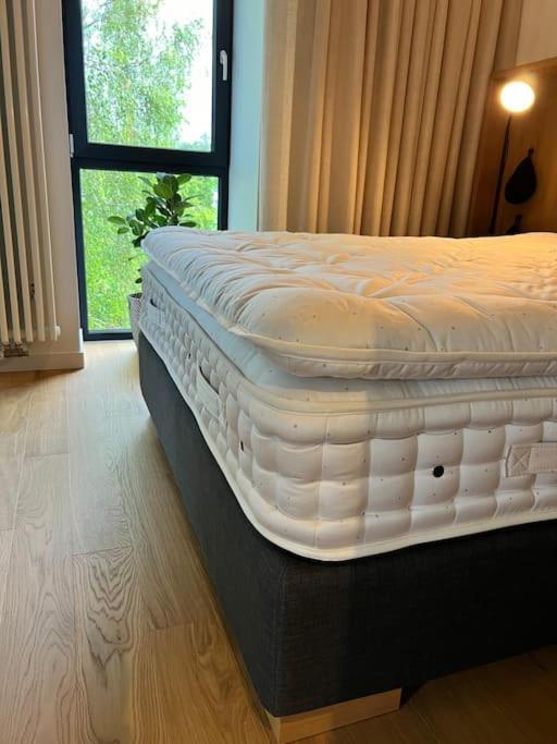 Lovely Apartment By The Sea. Ķesterciems Zewnętrze zdjęcie